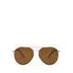 JEETT SUNGLASSES - OTHER BROWN